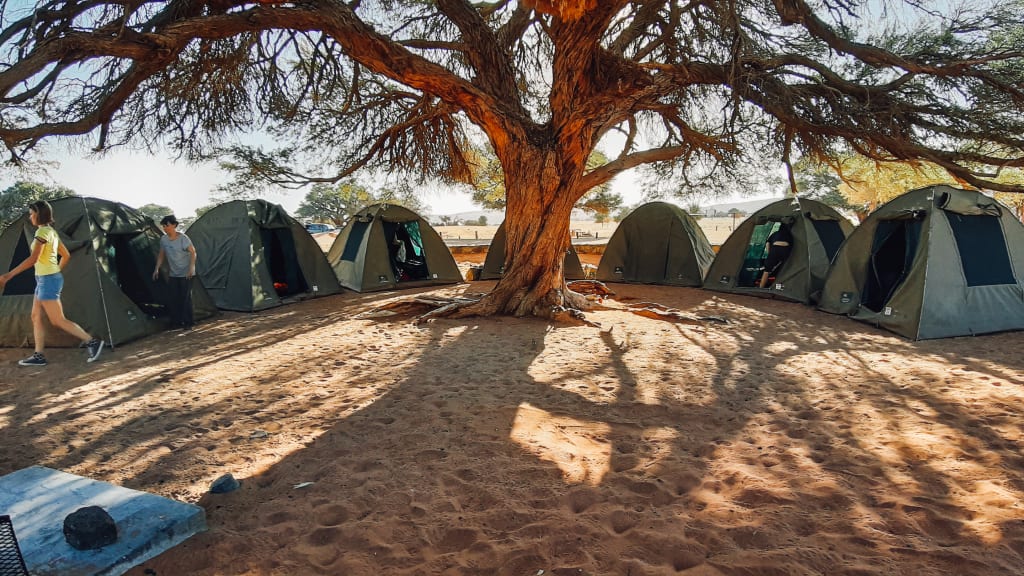 Namibia, campeggio all'ombra di un grande albero con tende montate su terreno sabbioso